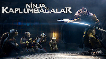 Ninja Kaplumbağalar (2014)