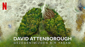 David Attenborough: Gezegenimizden Bir Yaşam (2020)