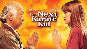 The Next Karate Kid (1994)