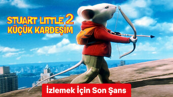 Stuart Little 2 Küçük Kardeşim (2002)