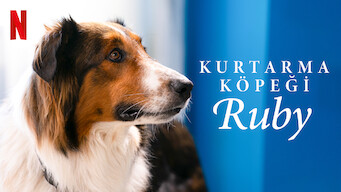 Kurtarma Köpeği Ruby (2022)