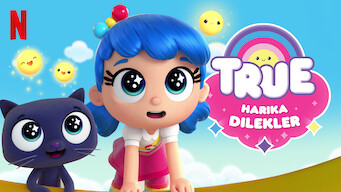 True: Harika Dilekler (2018)