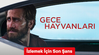 Gece Hayvanları (2016)