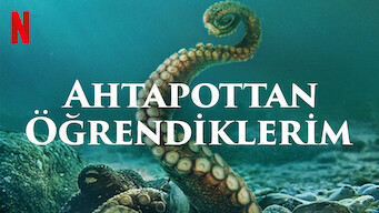 Ahtapottan Öğrendiklerim (2020)