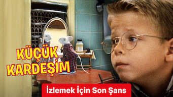 Küçük Kardeşim (1999)