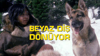 Beyaz Diş Dönüyor (1974)