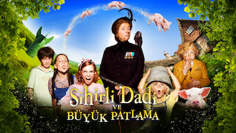 Sihirli Dadi Ve Büyük Patlama (2010)