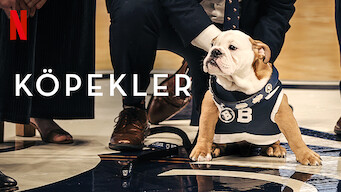 Köpekler (2021)