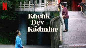 Küçük Dev Kadınlar (2020)