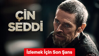 Çin Seddi (2016)