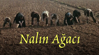 Nalın Ağacı (1978)