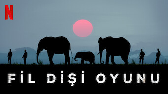 Fil Dişi Oyunu (2016)