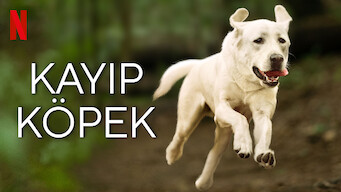 Kayıp Köpek (2023)