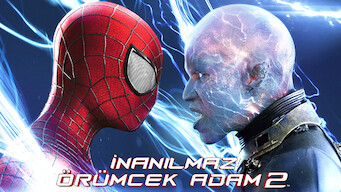 İnanılmaz Örümcek Adam 2 (2014)